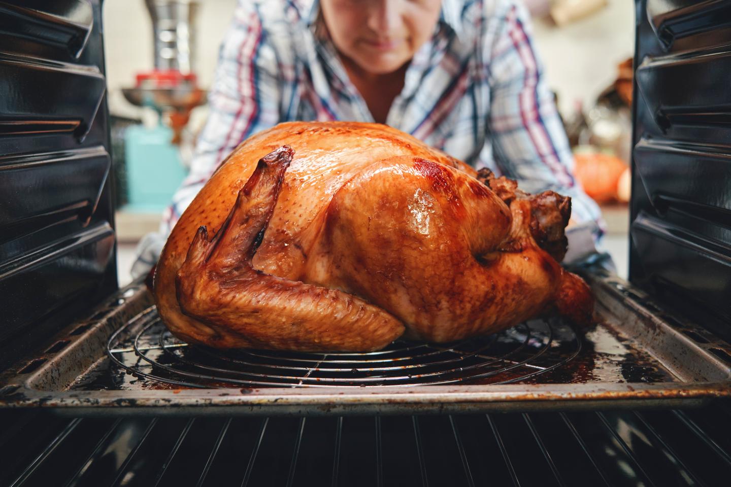 Thanksgiving dinner turkey alternative