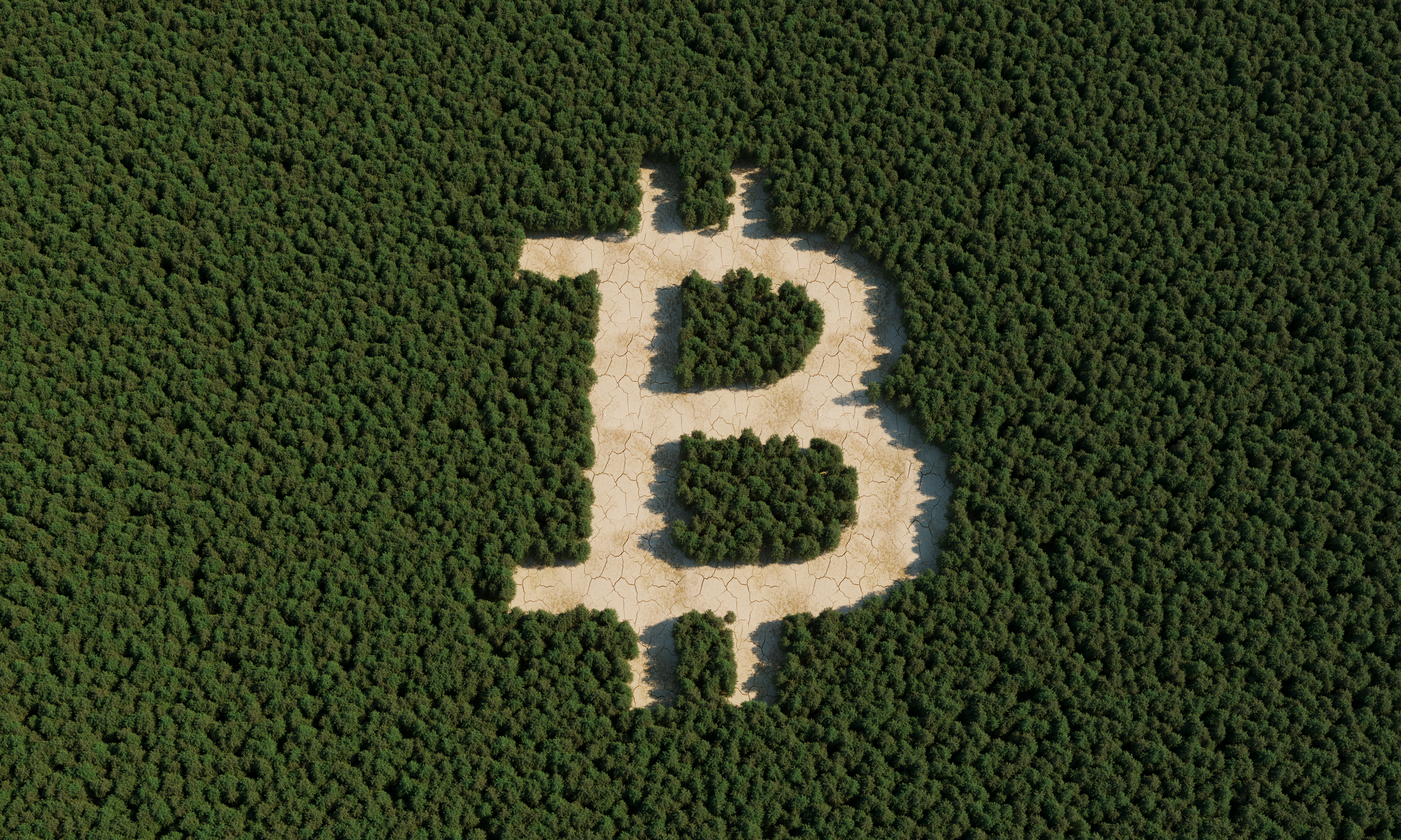 A new report highlights Bitcoin’s CO2 emissions problem. 