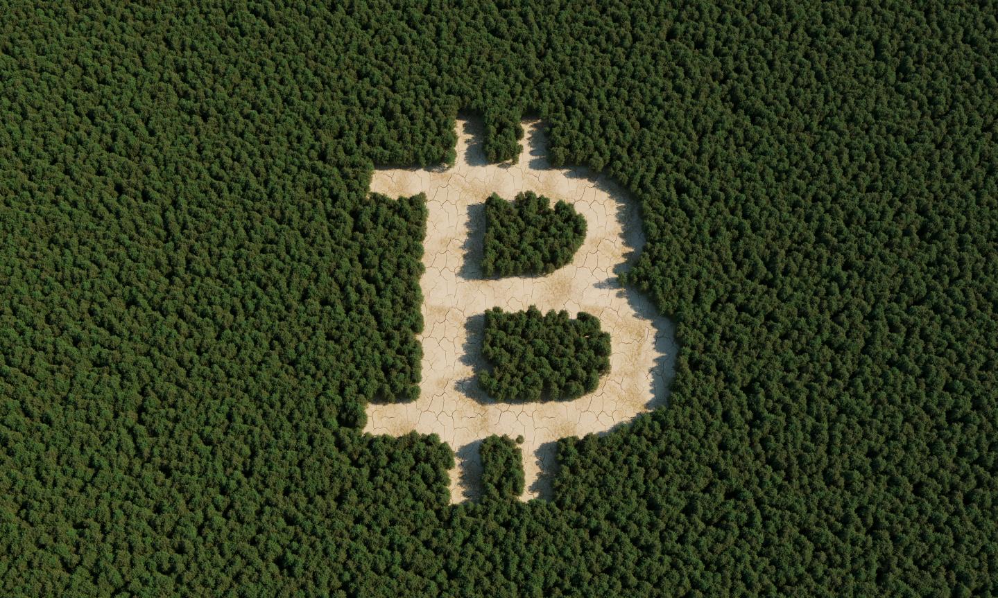 Offsetting Bitcoin’s carbon footprint would require planting 300 million new trees