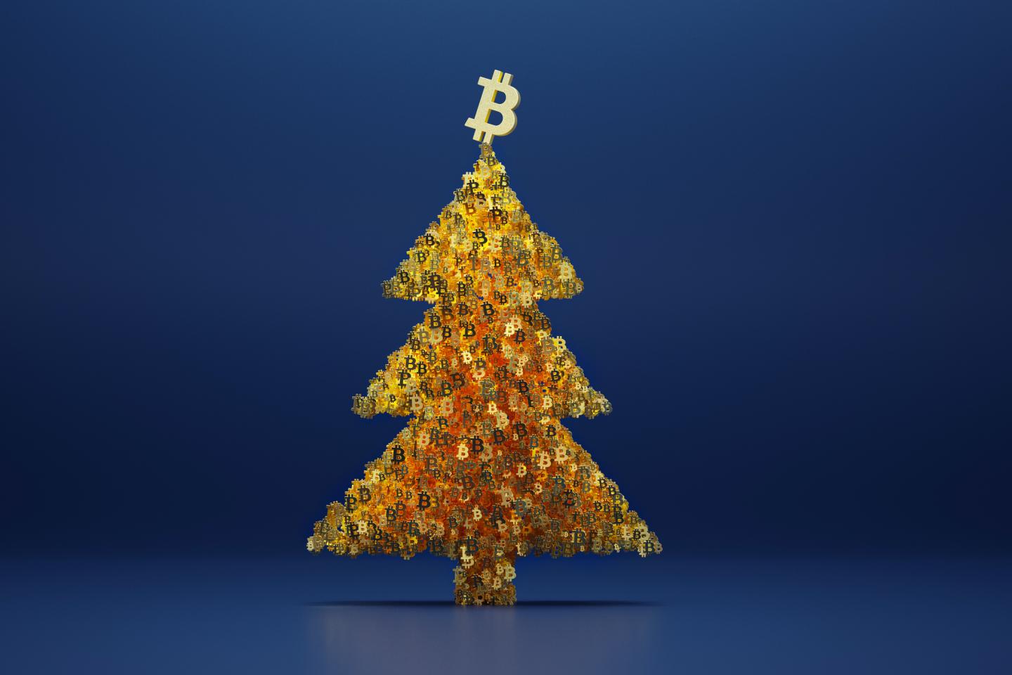 Buy the dip and these gifts for the crypto enthusiast in your life