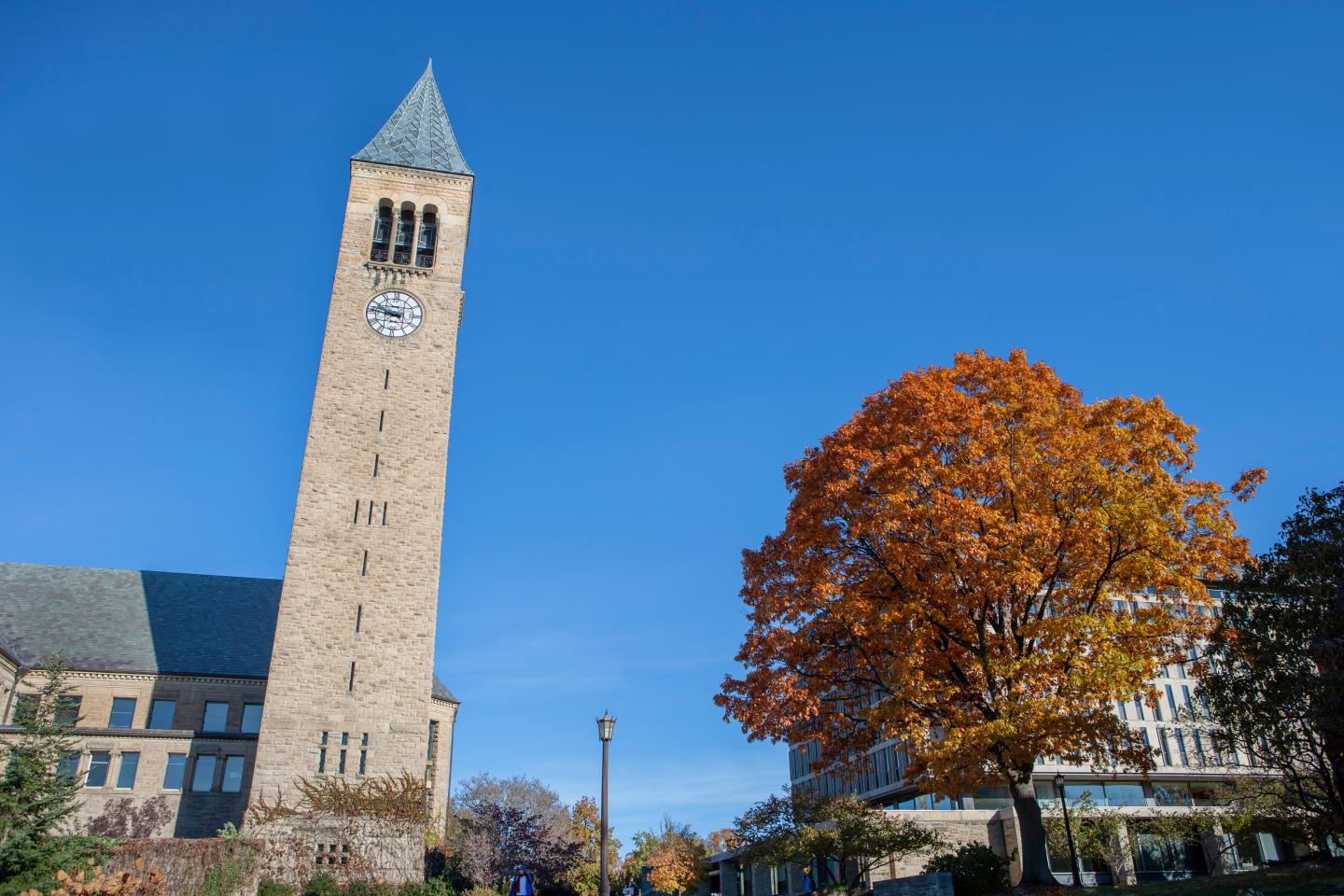 Cornell imposes lockdown after Omicron is detected on campus