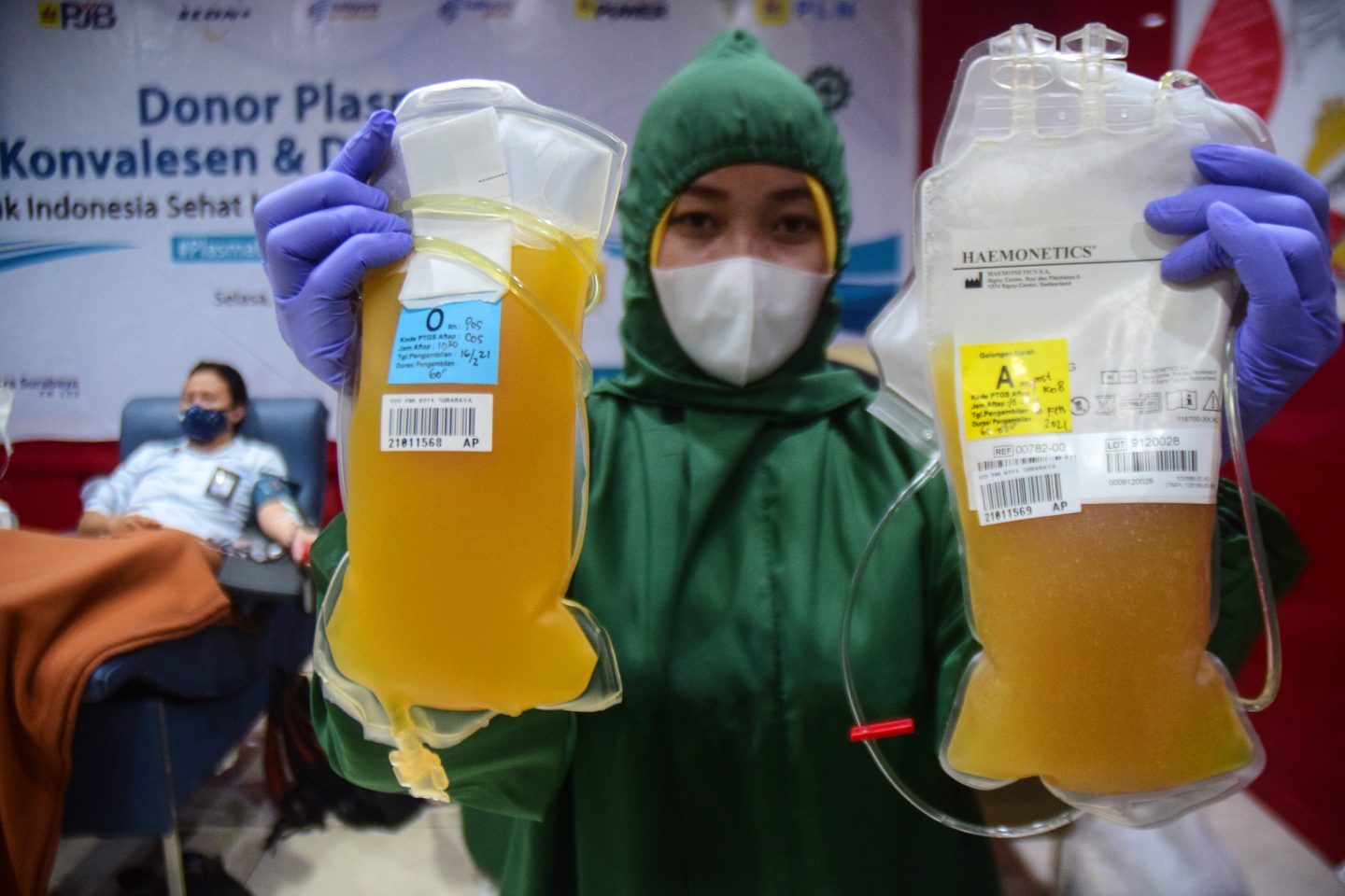 Convalescent Plasma Donor