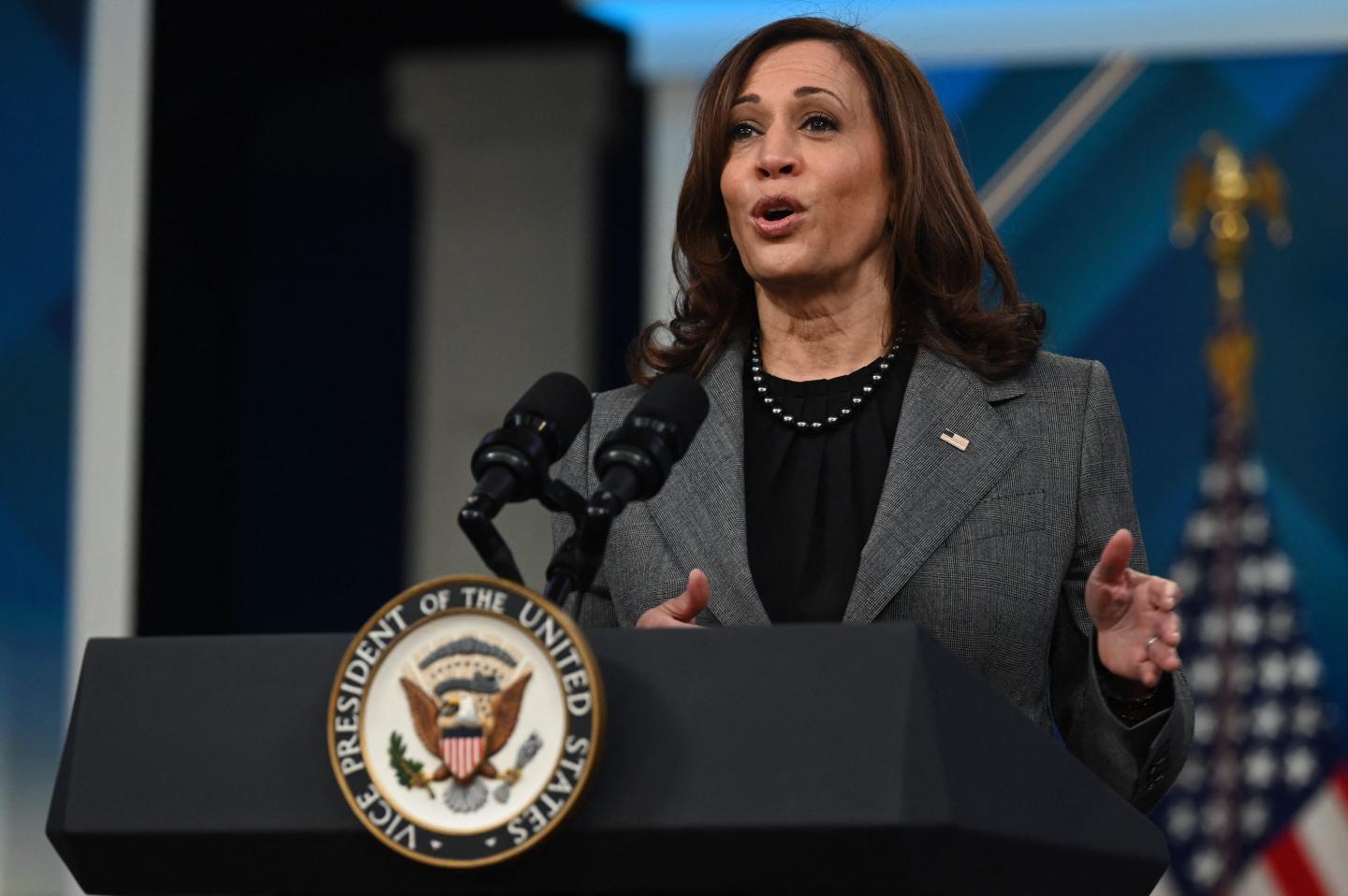 Kamala-harris-maternal-mortality