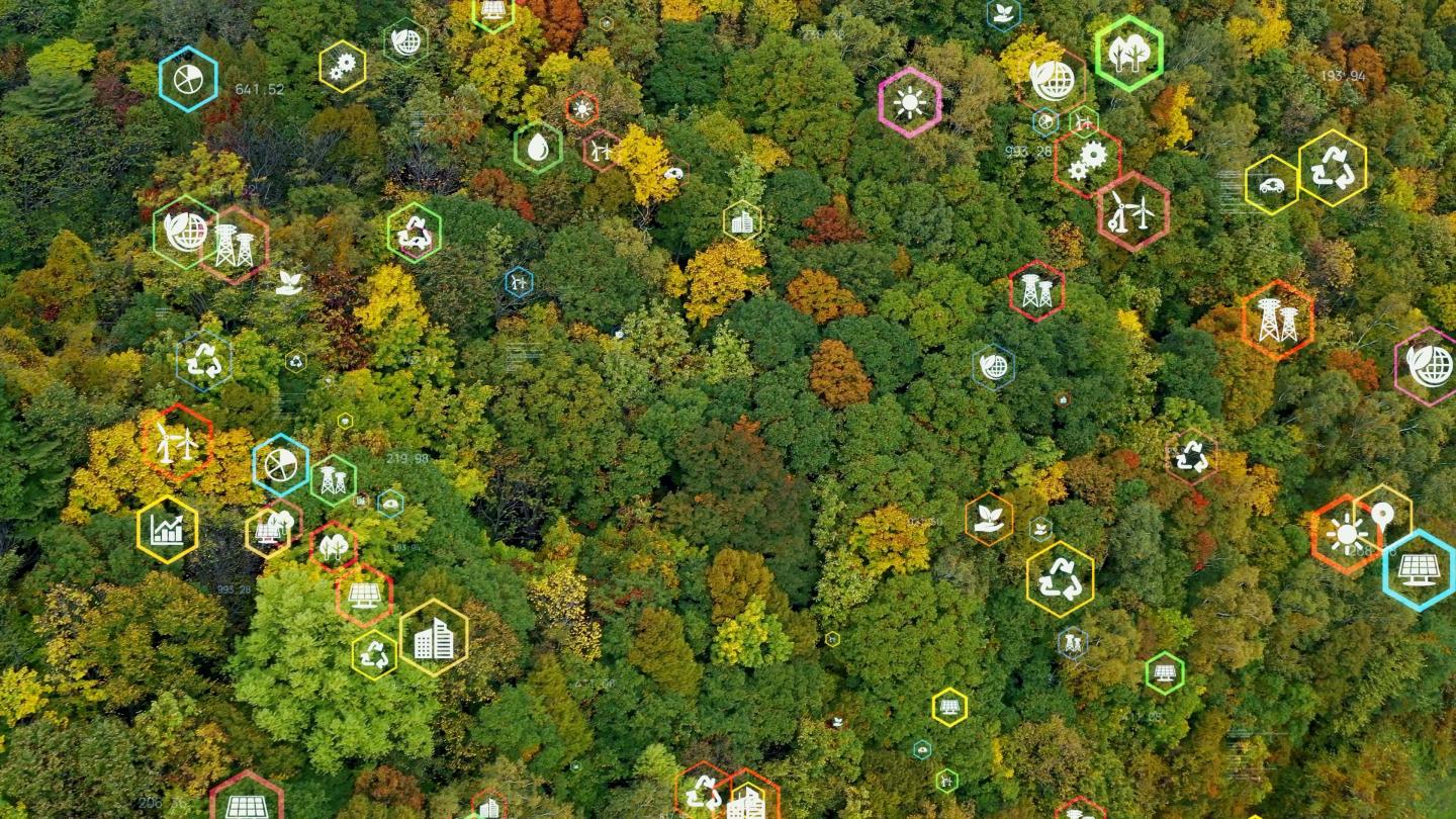 Why modern boards need to invest in ESG for companies to thrive