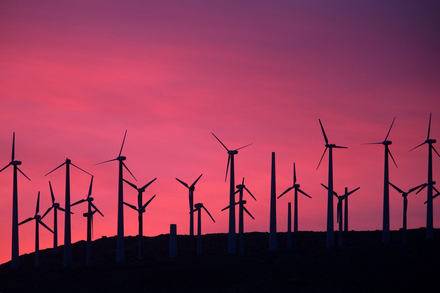 Wind turbines in California.