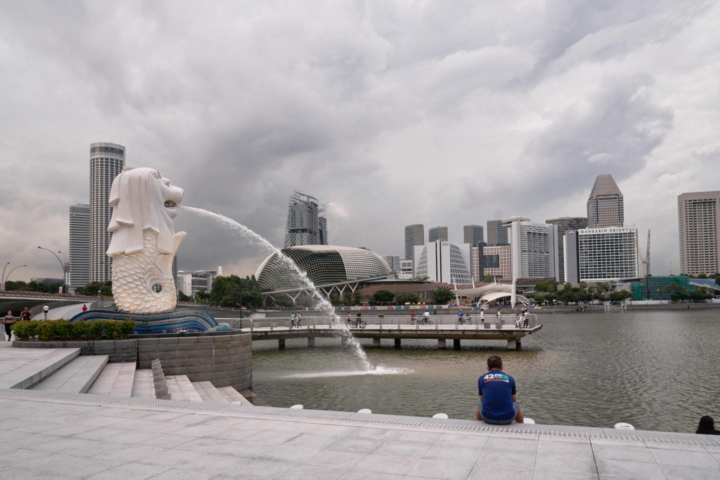 Singapore and Dubai: two very different approaches to the COVID expat