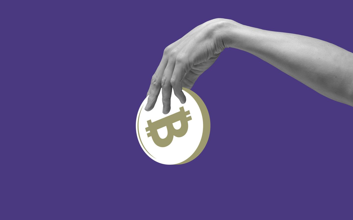 Cryptocurrencies are down $1.4 trillion since November. What would $1,000 invested at the peak of each coin be worth now?