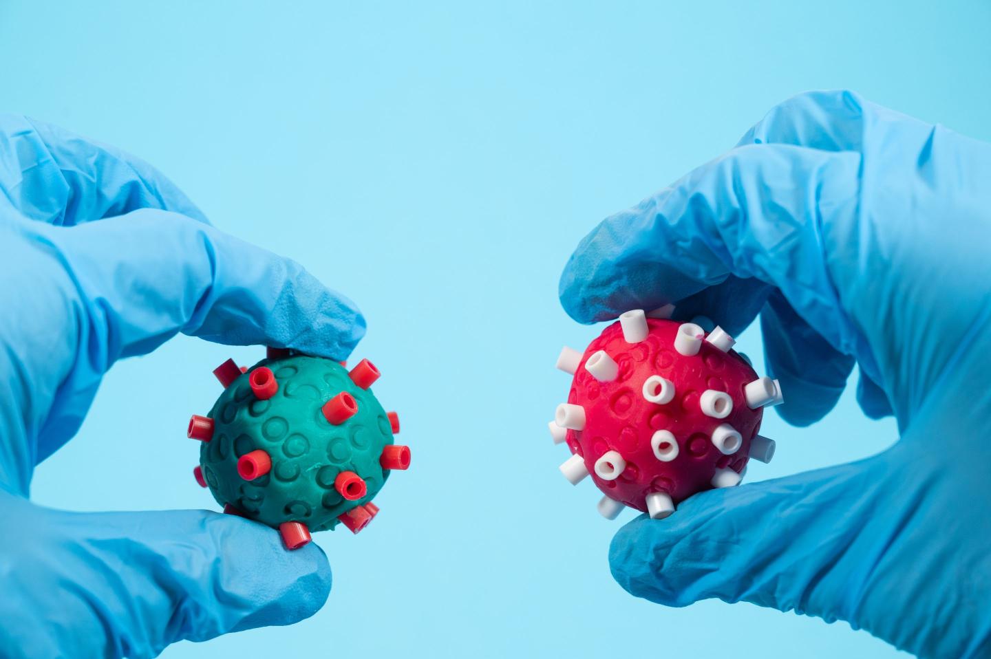 hands wearing surgical gloves holds two different Coronavirus of different color in the hand.