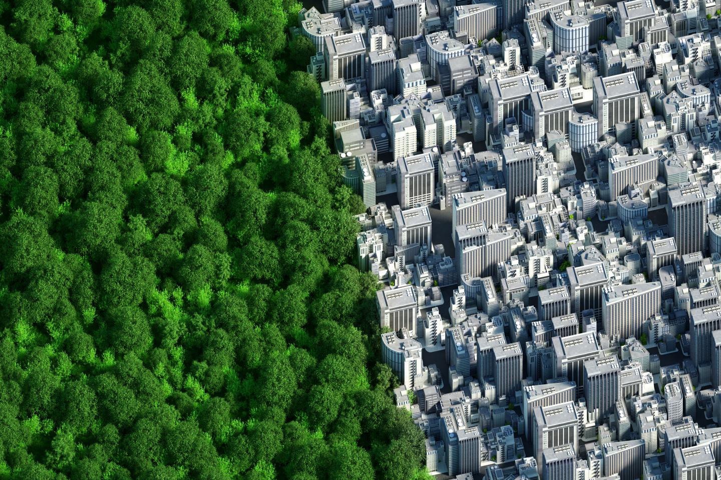 Digital generated image of two semi spheres connected together in one planet. Left part covered by trees against right part fully urban and covered by buildings. Sustainability concept.