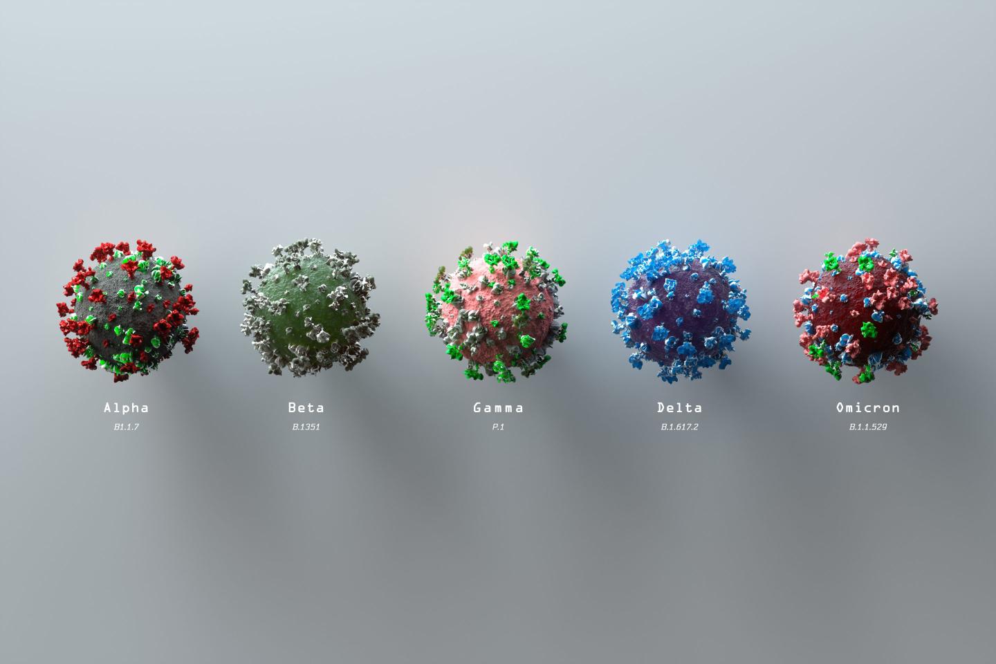 Structural images of the main COVID-19 virus variants from Alpha to Omicron.