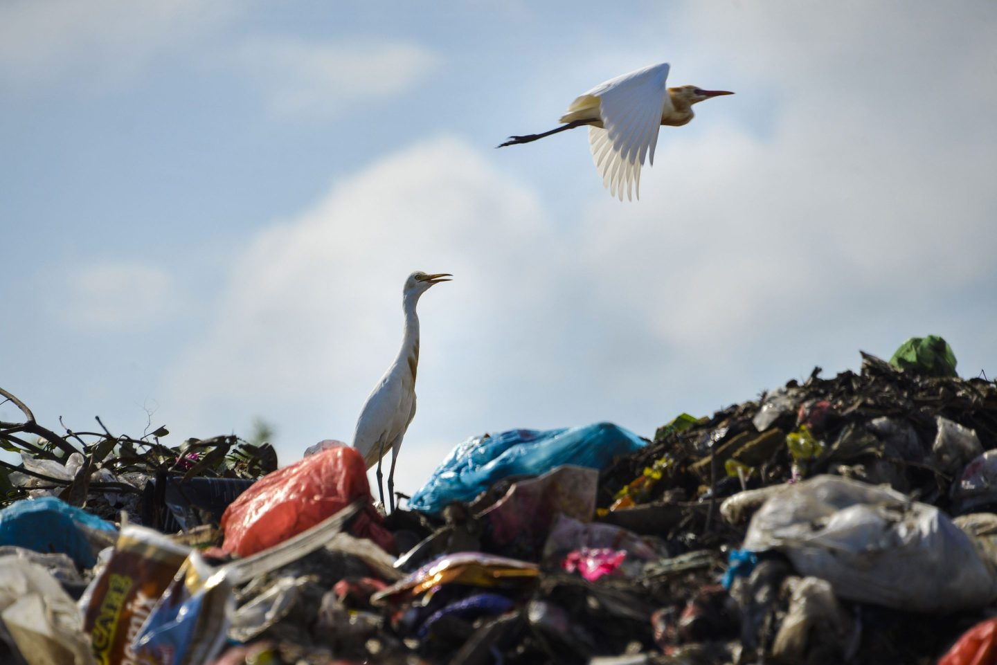 No one wants to be embarrassed to tell their friends who they work for, especially when so many people are turning away from the corporate world.