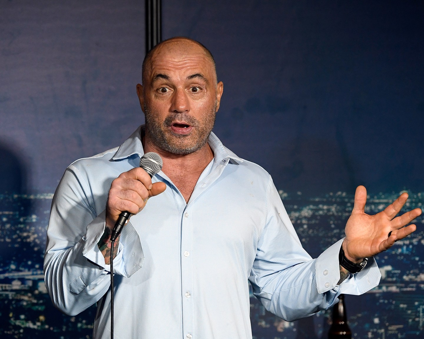 Joe Rogan performing.