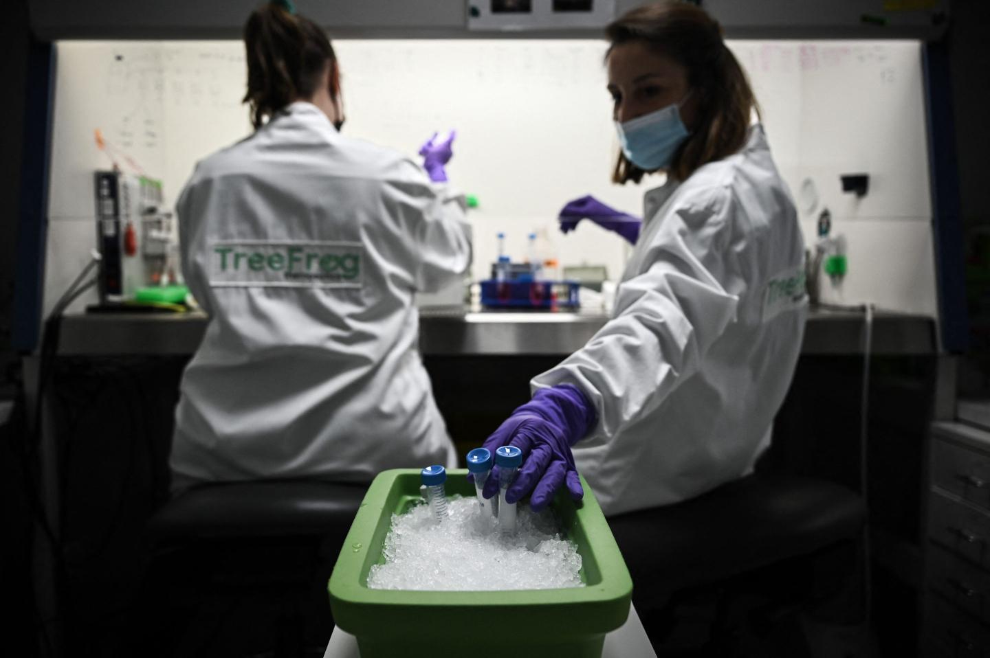 female scientists in a lab