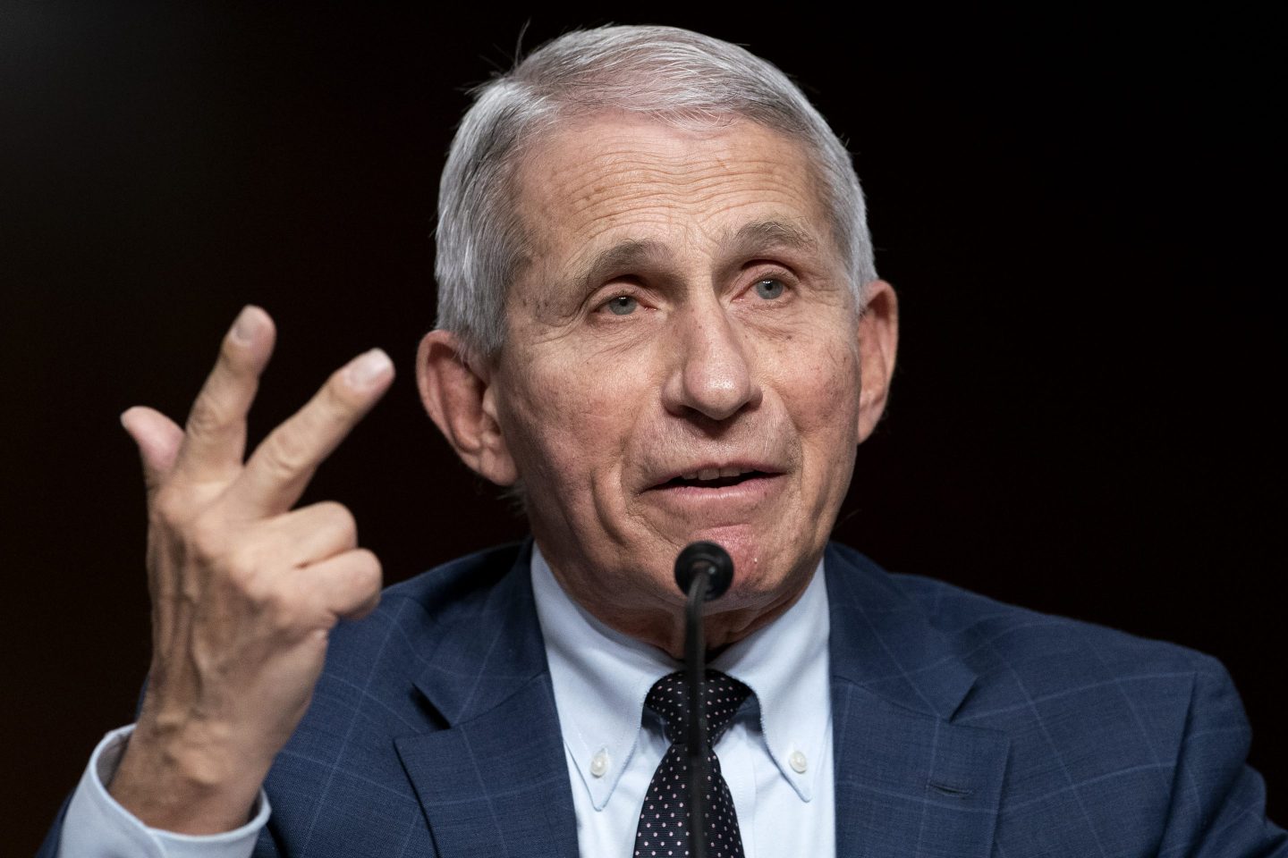 Portrait of Anthony Fauci