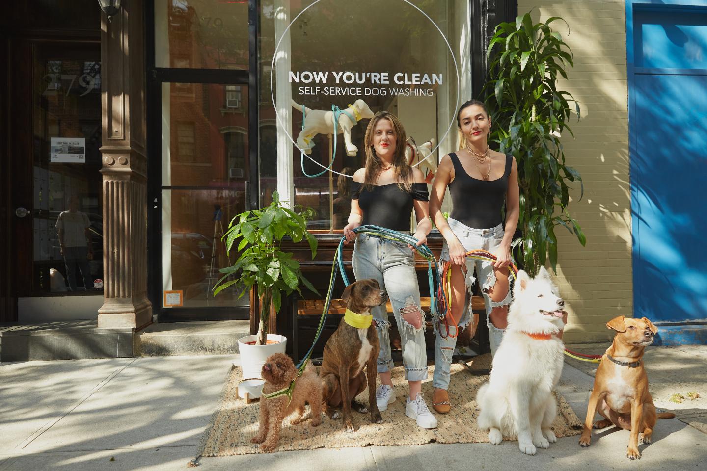 Now You're Clean dog wash and spa