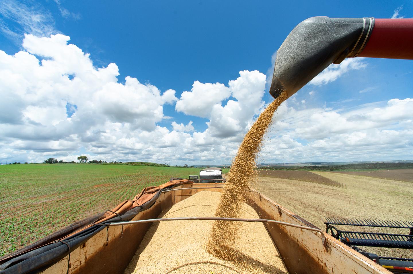 Soybeans are harvested on a farm near Brasilia, Brazil, on Friday, March 4, 2022.