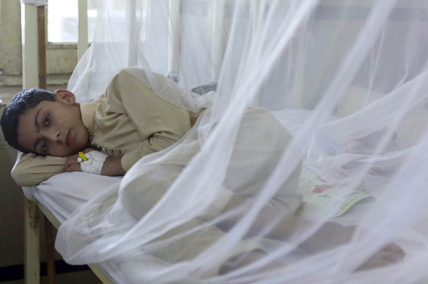 COVID-19 lockdowns accidentally cut cases of another killer disease to historic lows
