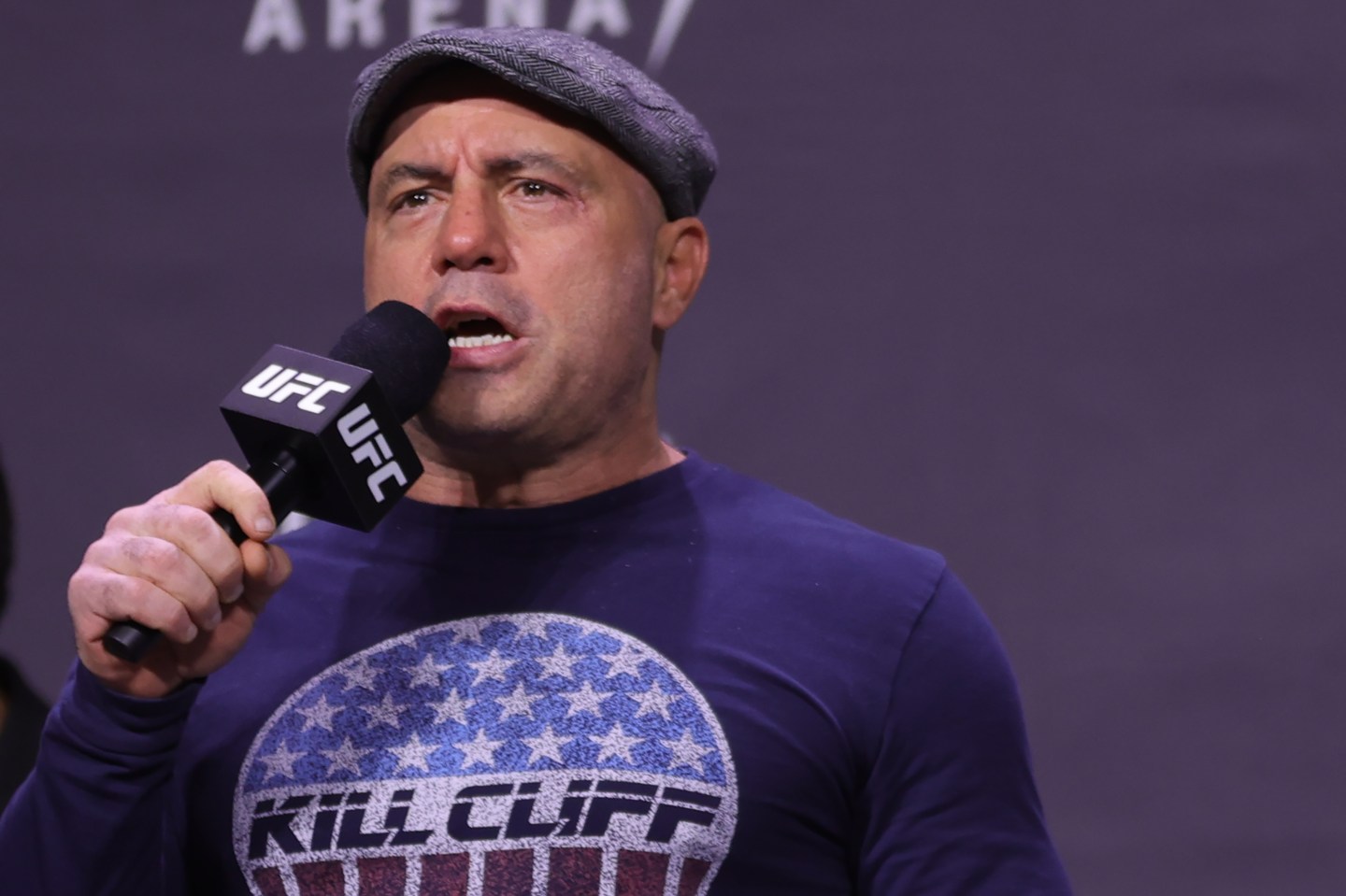 Photo of Joe Rogan