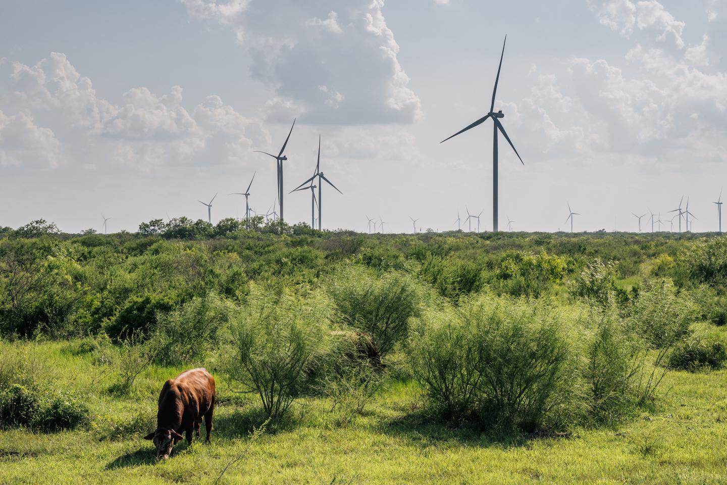 Wind turbines in Texas.