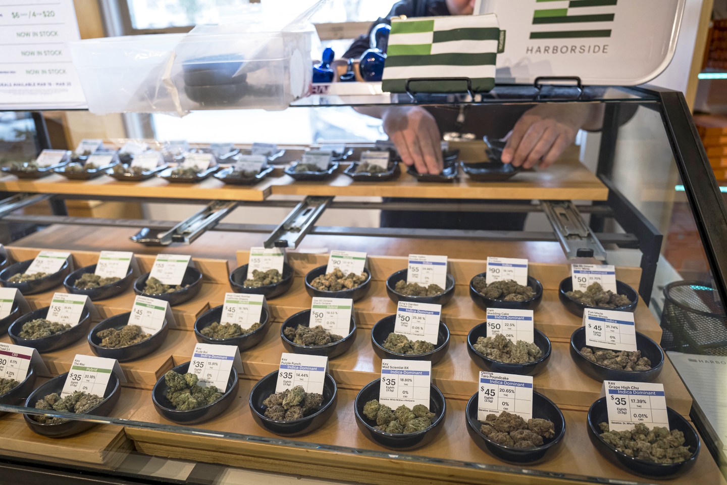 An employee arranges a display of cannabis at the Harborside dispensary.