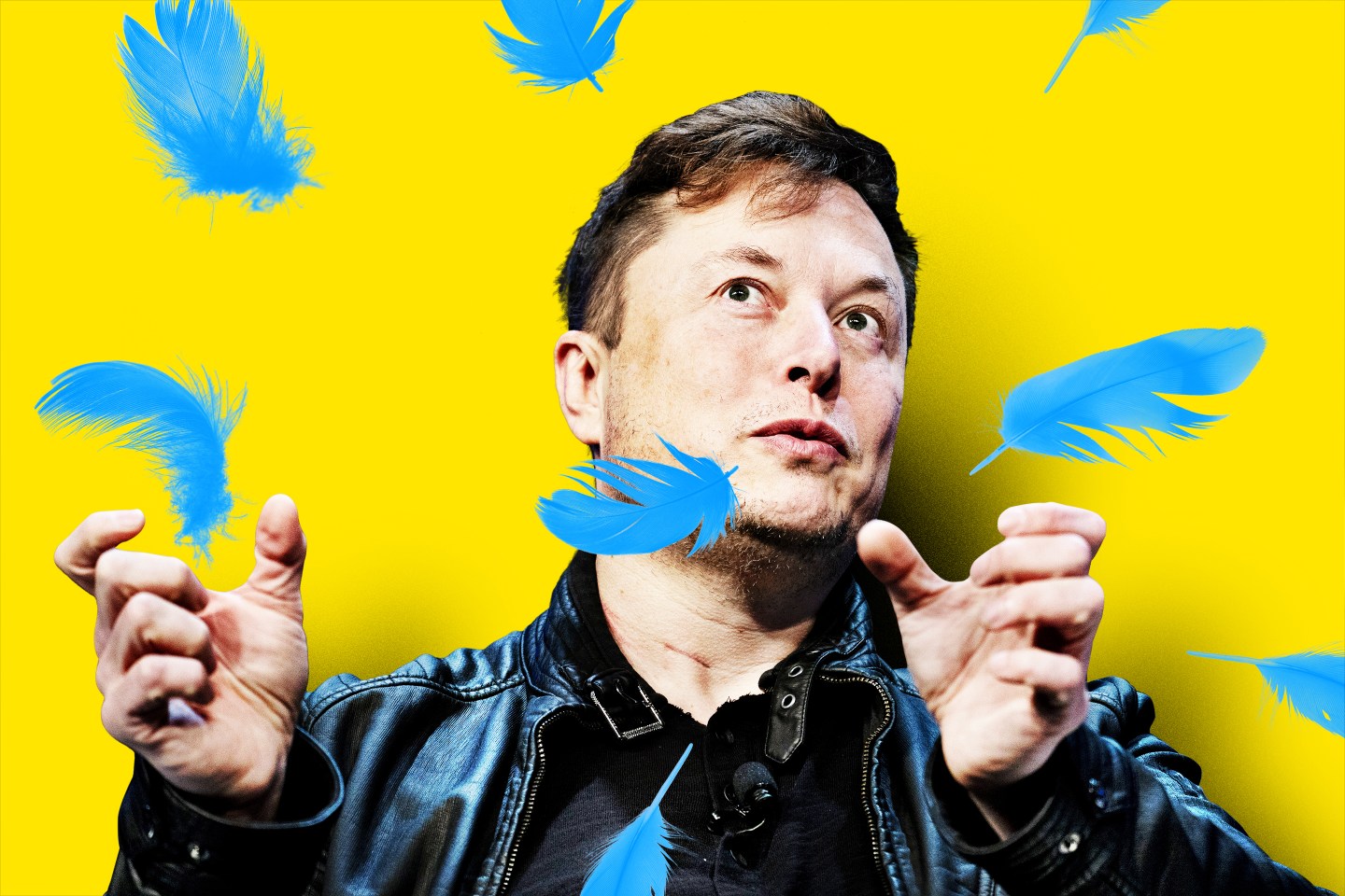 Elon-Musk-Twitter-Blue-Feathers