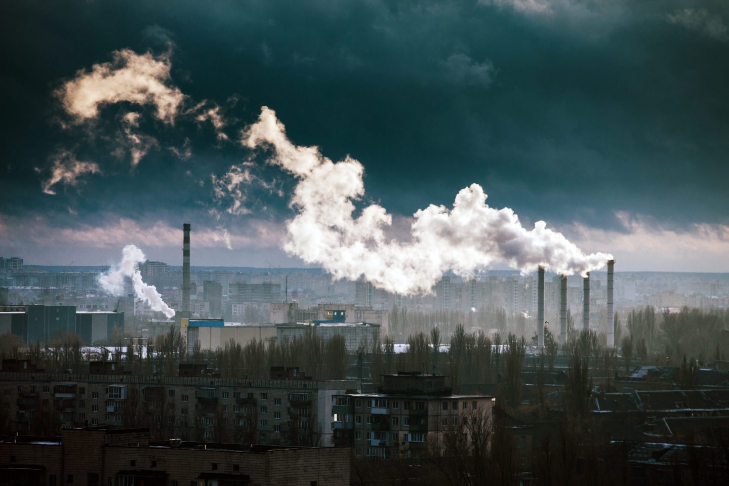 Steam clouds vent from a power plant