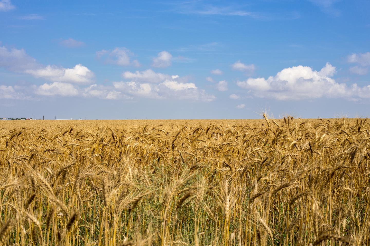Photo taken in Mykolayiv, Ukraine.