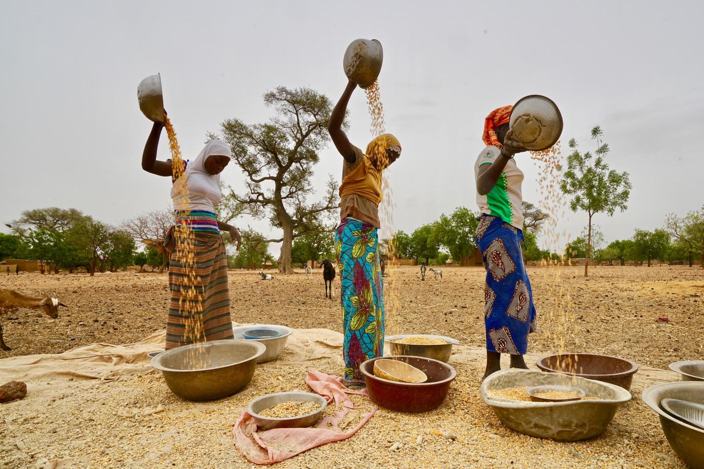 ‘A giant leap up’: Food prices just soared to a record high, and the UN says it may trigger a global food crisis
