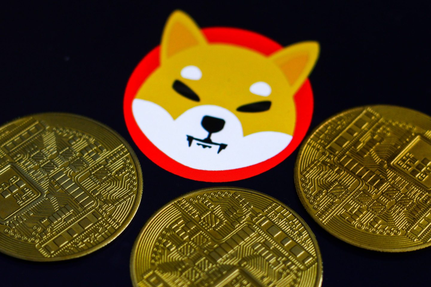 An illustration of the Shiba Inu cryptocurrency