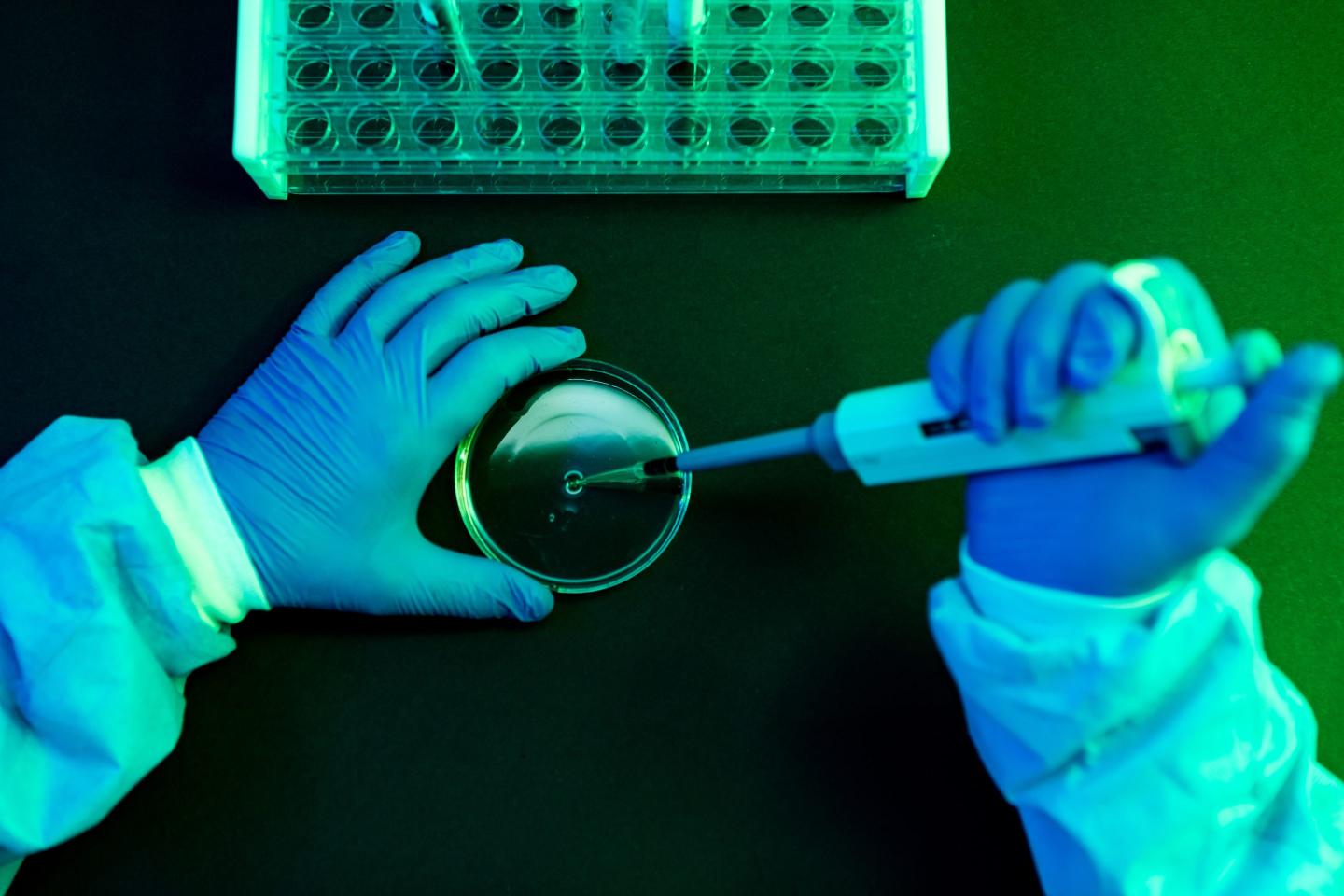 Aerial view of the hands of a scientist at work