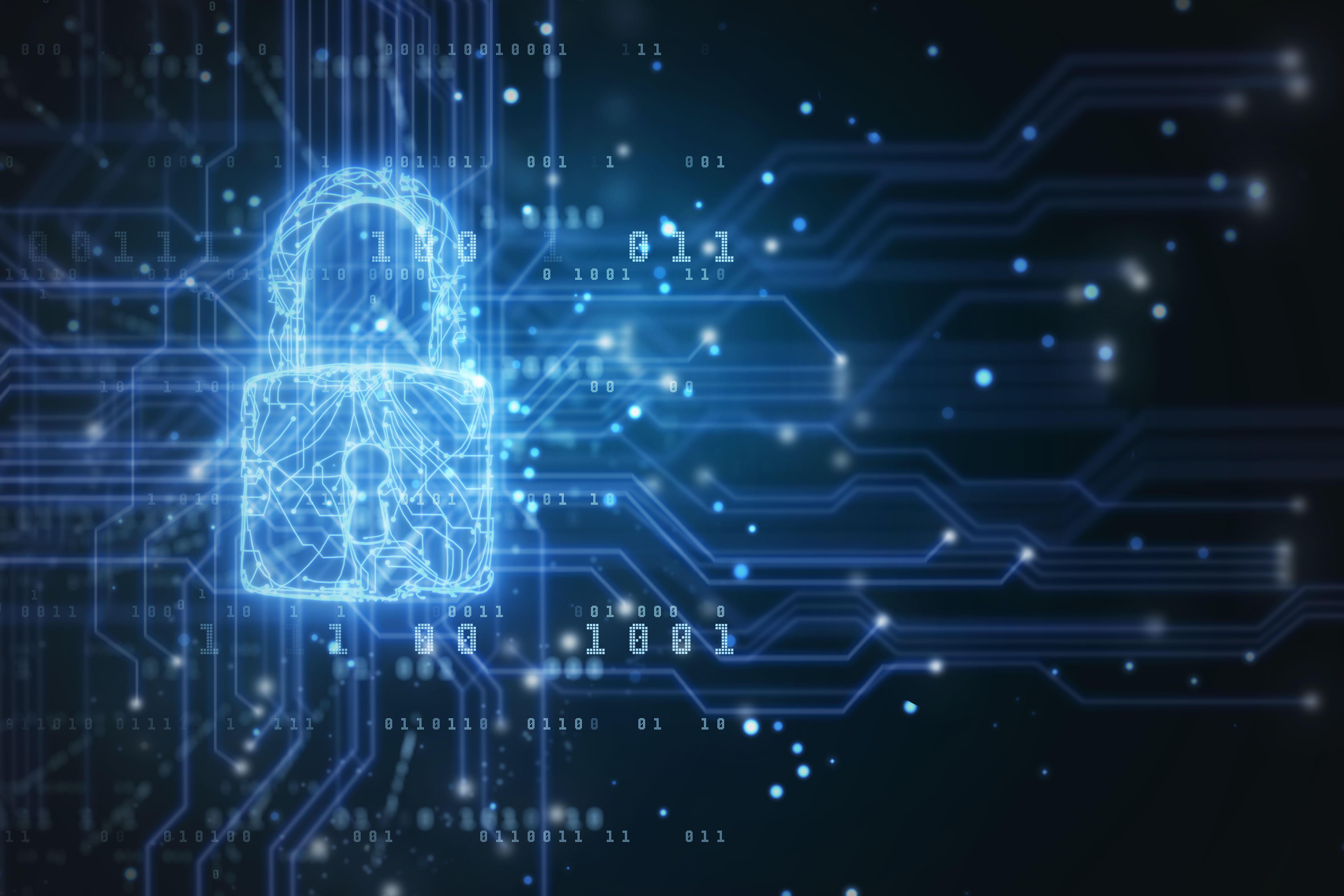 Hackers steal $182 million from Beanstalk Farms. It has a proposal for  them. | Fortune