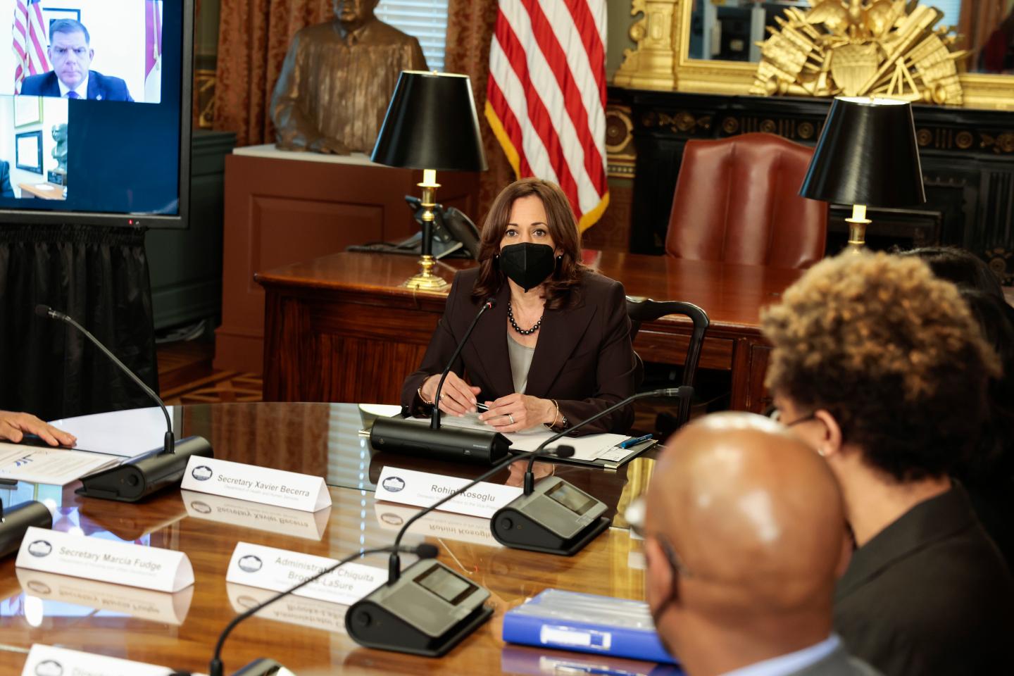 Vice President Kamala Harris brings Black maternal health to the top of the U.S. policy agenda