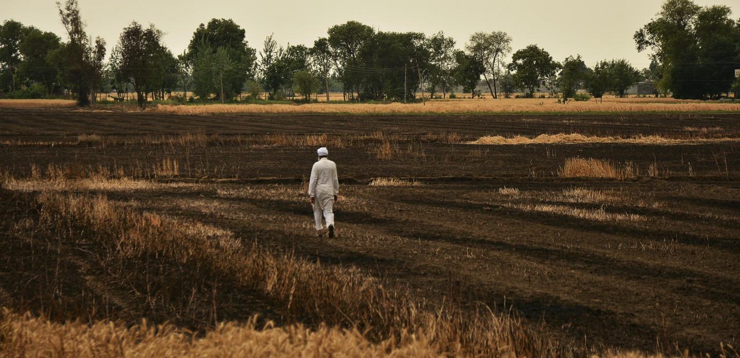 India Wheat fire climate change