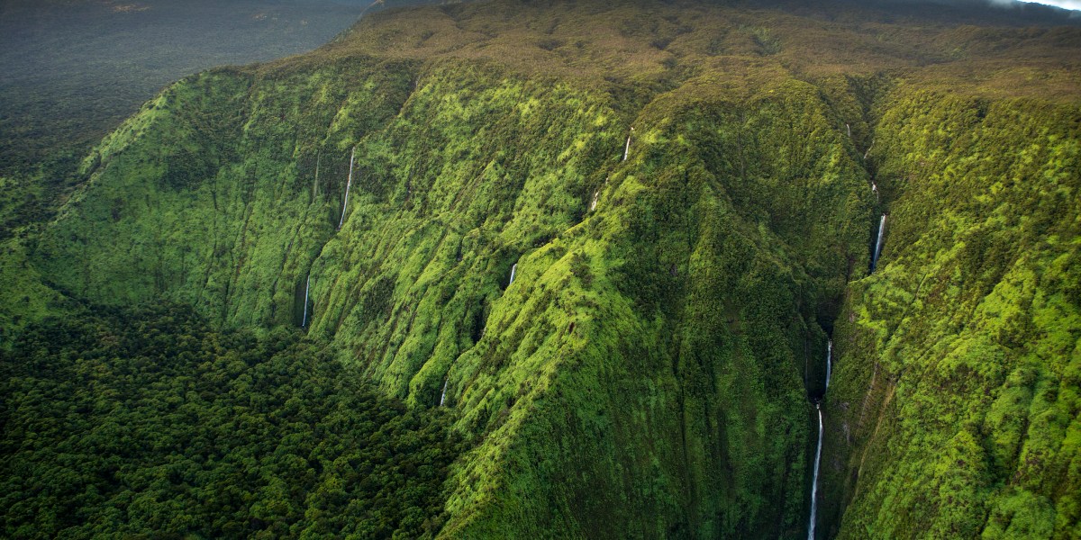 How A.I. is helping to protect biodiversity in Hawaii | Fortune