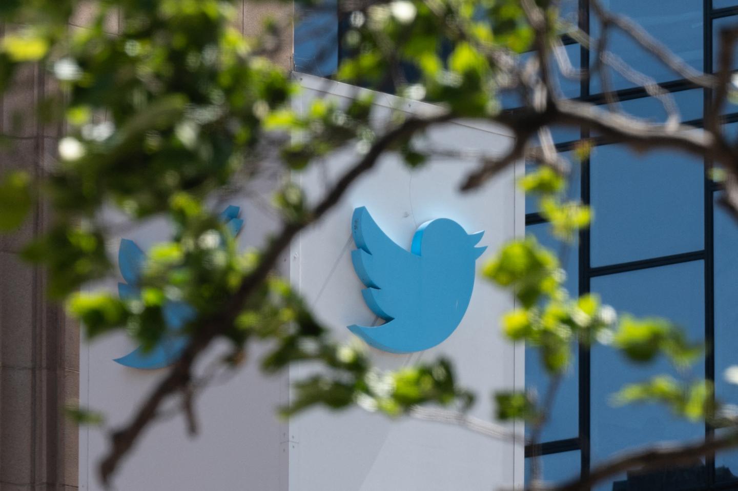 Twitter defies shareholders by keeping Elon Musk ally on the board