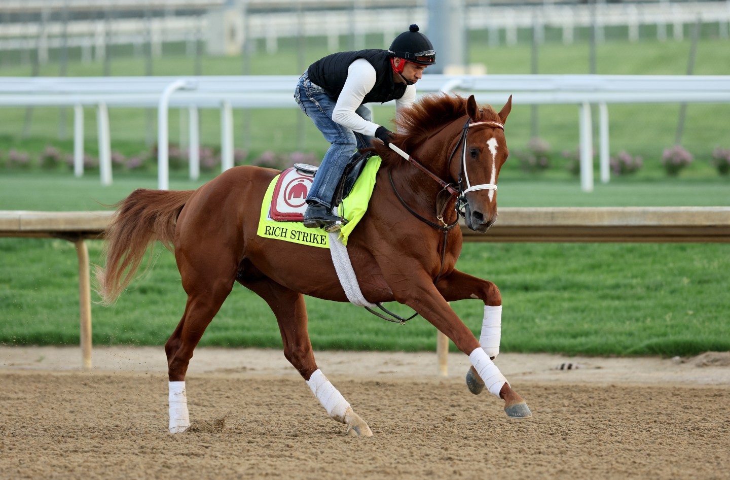 A jockey riding a horse.