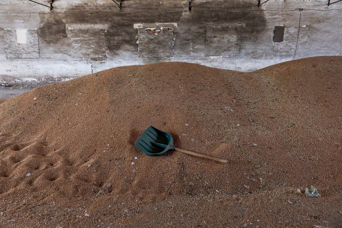 Piles of wheat in a grain warehouse in Ukraine