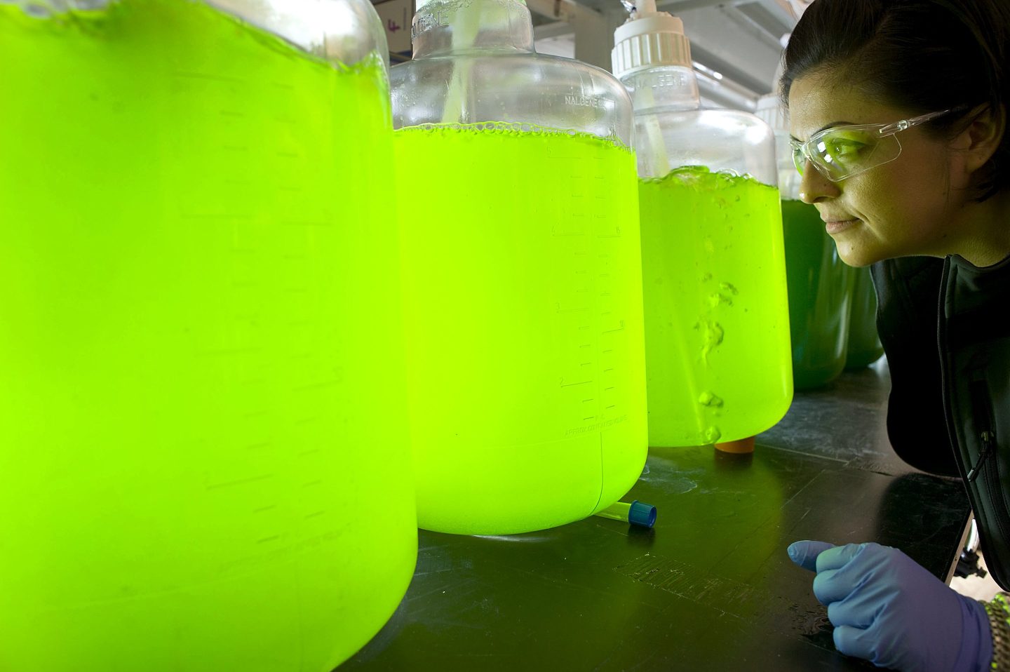 Bioscience firms are making fuel out of algae and continuing to improve carbon capture and sequestration methods to remove the CO2 that has already been emitted into the atmosphere.