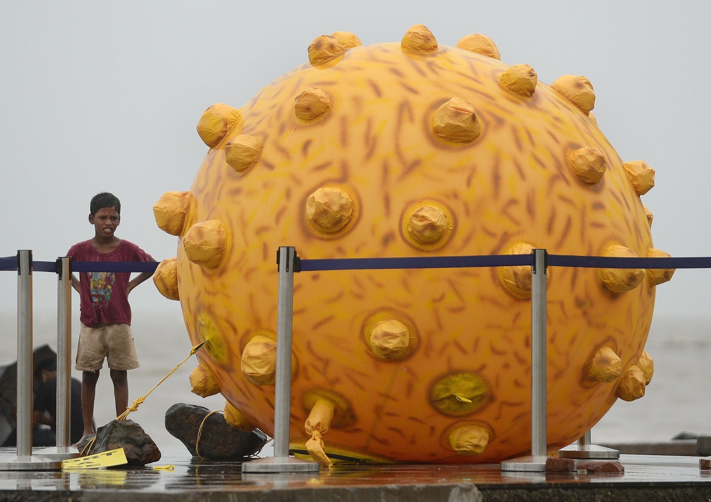 An Indian boy stands near a large model of the Hepatitis virus