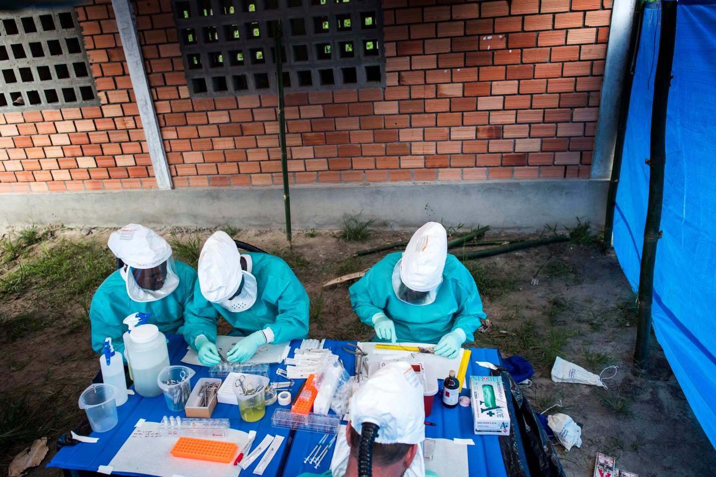 Scientists examine animals caught in the jungle who may carry the MonkeyPox virus