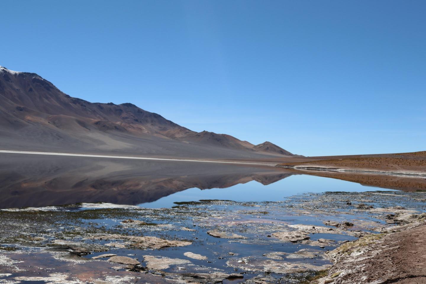 Chile’s lithium mining dilemma: Reconciling economic opportunity with environmental concerns