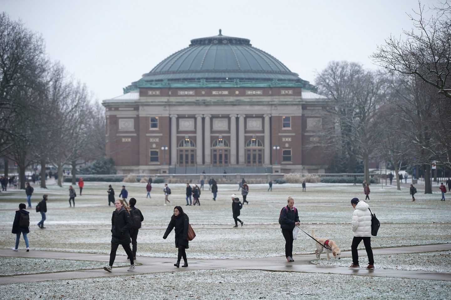 Photo of University of Illinois at Urbana-Champaign campus
