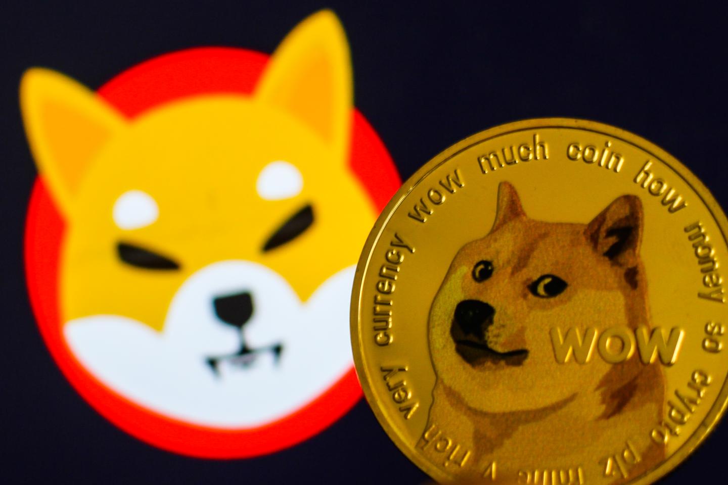 Shiba Inu and Dogecoin post biggest gains in crypto rebound as Bitcoin and Ether steady