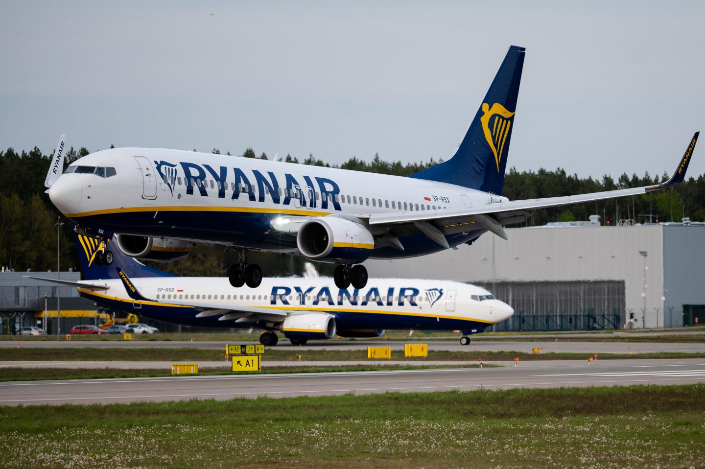 ‘Insane and discriminatory’: Ryanair’s Afrikaans questionnaire for traveling South Africans sparks backlash