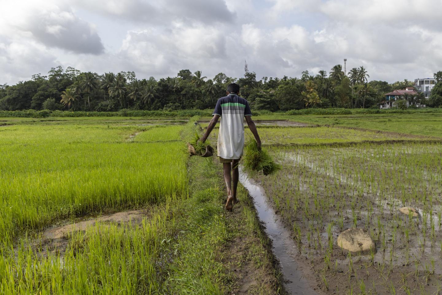 Sri Lanka is experimenting with a 4-day workweek—but there’s one big catch
