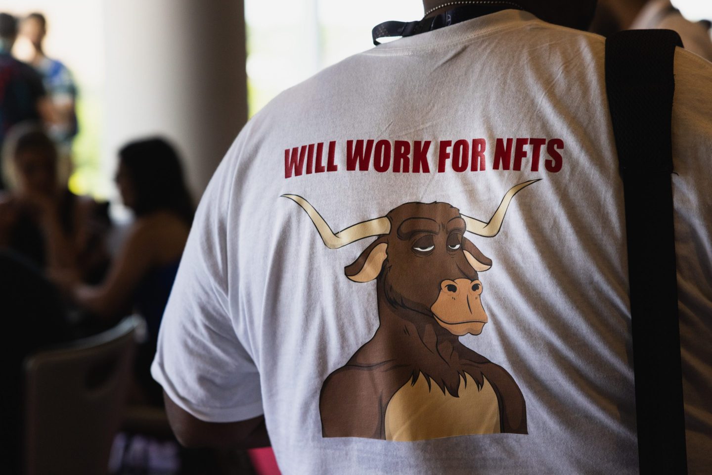 Picture of someone wearing a tee-shirt that says "Will Work for NFTs" on the back.