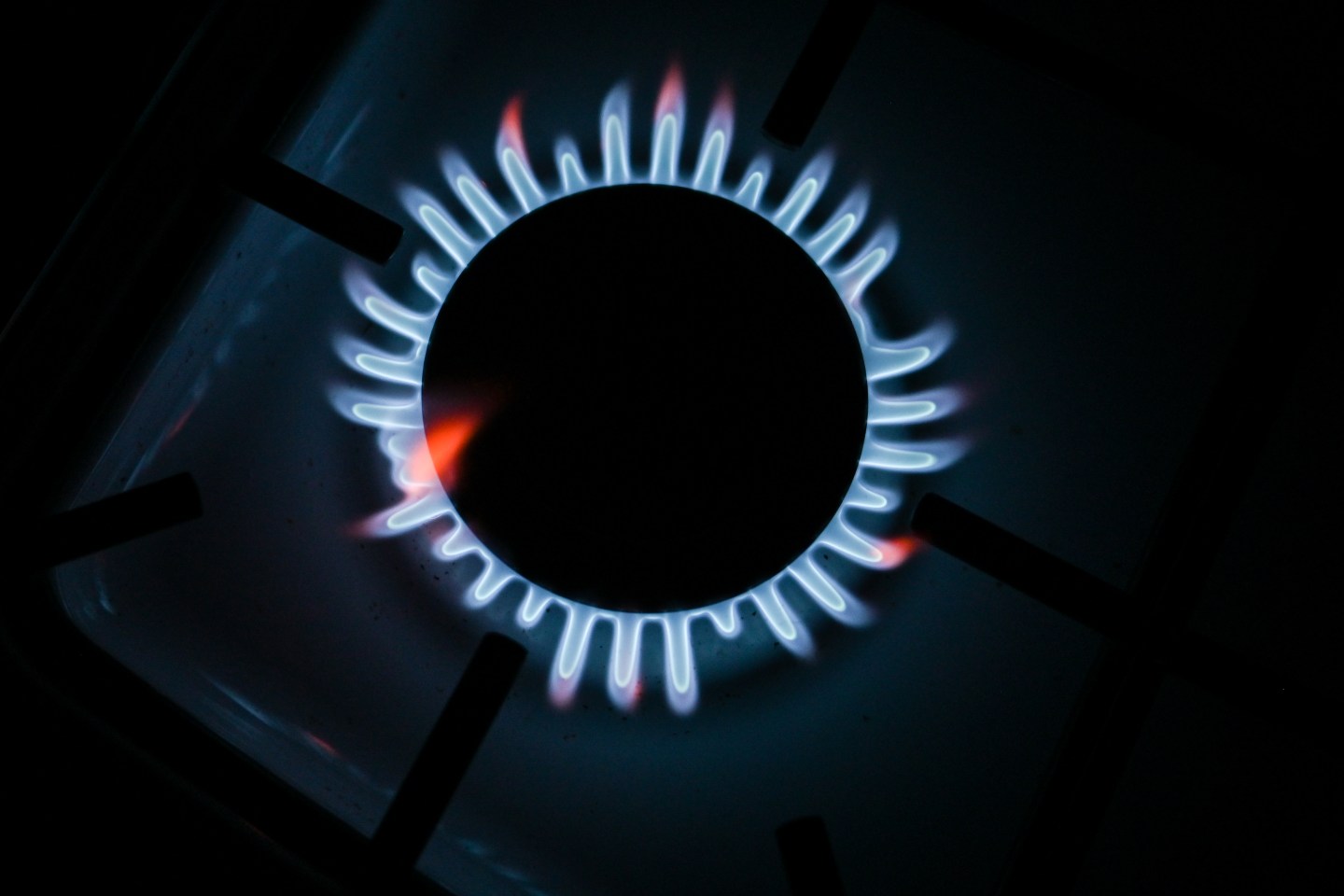 Natural gas burner on a natural-gas-burning stove.
