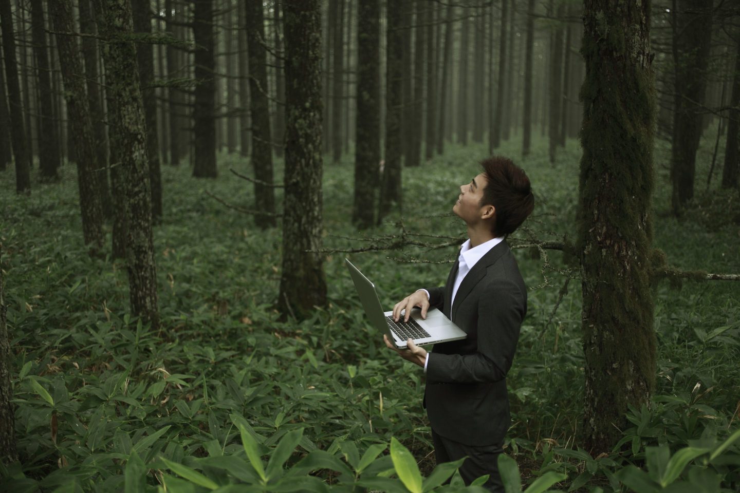 young businessman with a Notebook PC in the forest