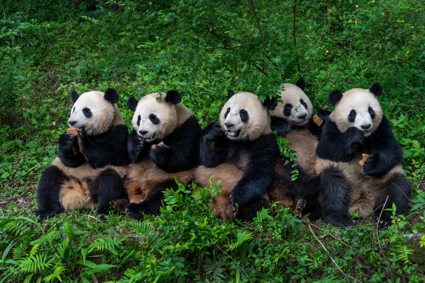 We’re in a bear market: Is now a good time to sell? What’s troubling investors? How long will this last? Here’s what you need to know