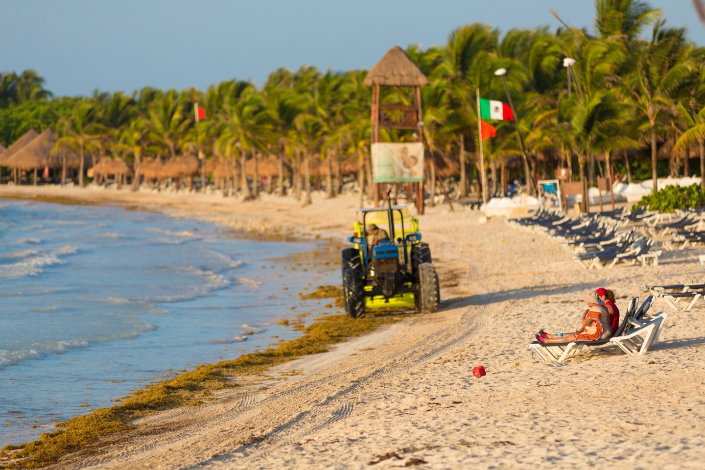 Workers clear Sargassum algae at Punta Xcatik Beach, in a resort near Playa del Carmen, Mexico.